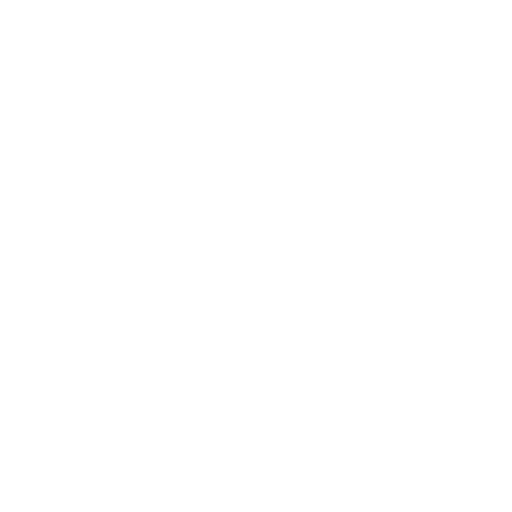 Surveillance Solutions
